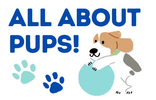 All About Pups logo