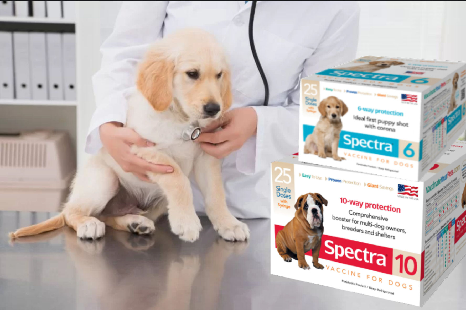 Vaccine For Puppies Schedule