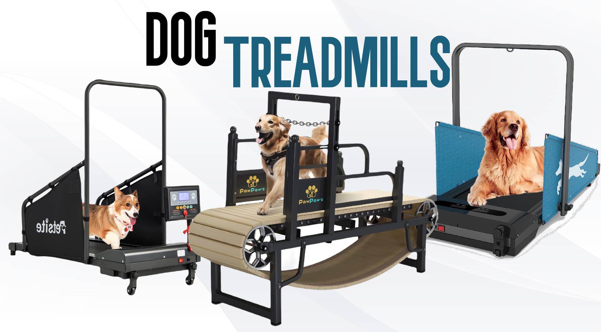 Dog Treadmills 2023 Get Your Pup Fit! All About Pups