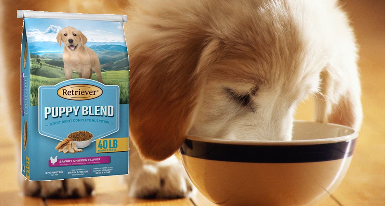 Retriever Dog Food Review 2023 Pros, Cons & Recalls All About Pups